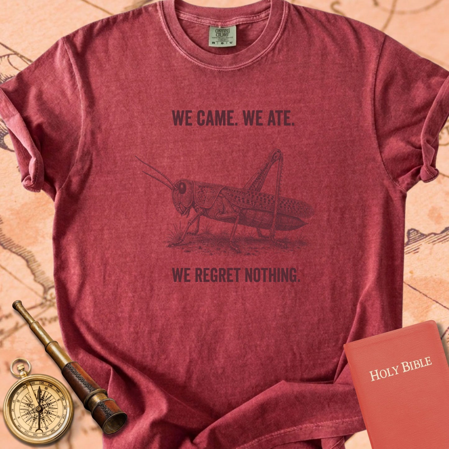 We Came We Ate We Regret Nothing Premium T-shirt