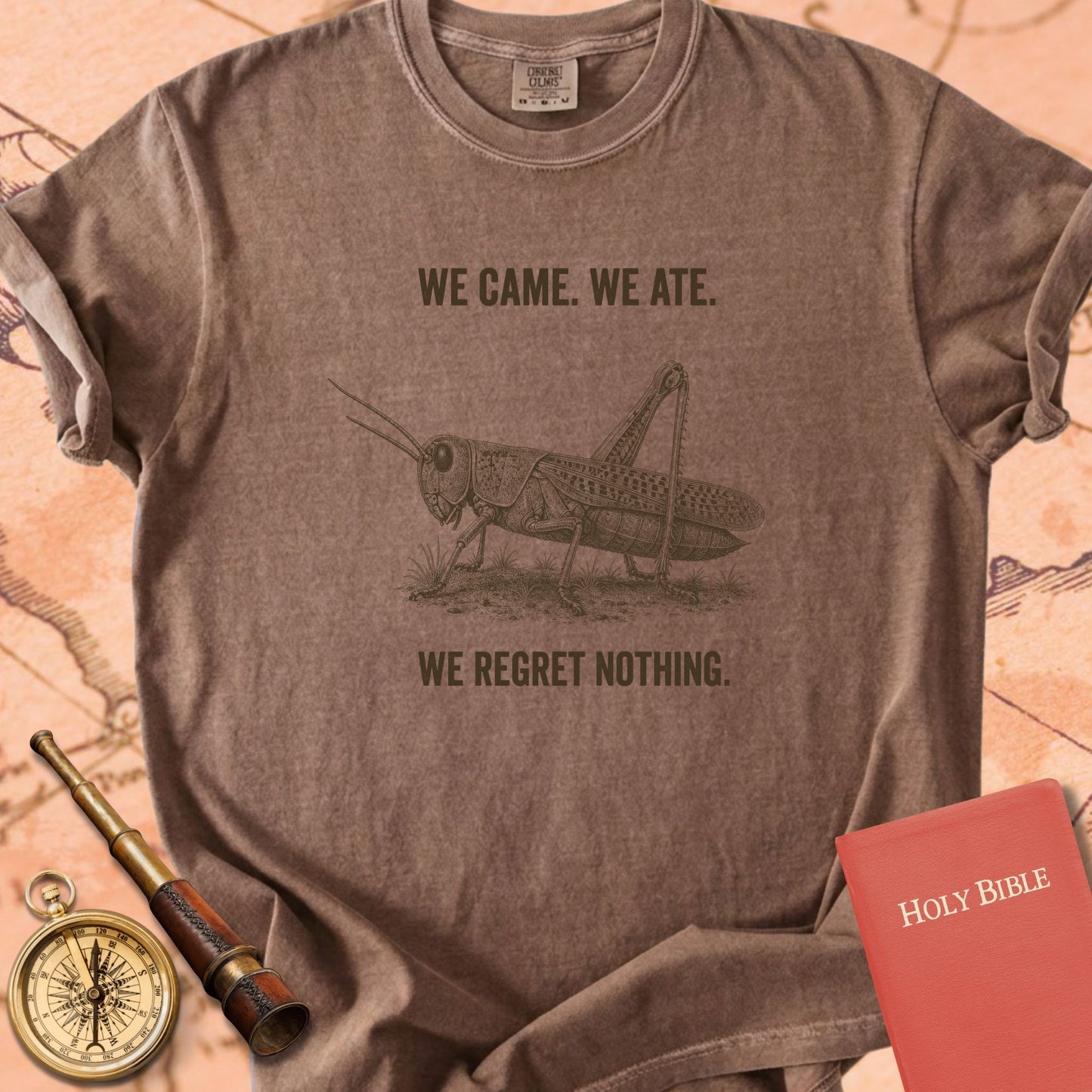 We Came We Ate We Regret Nothing Premium T-shirt