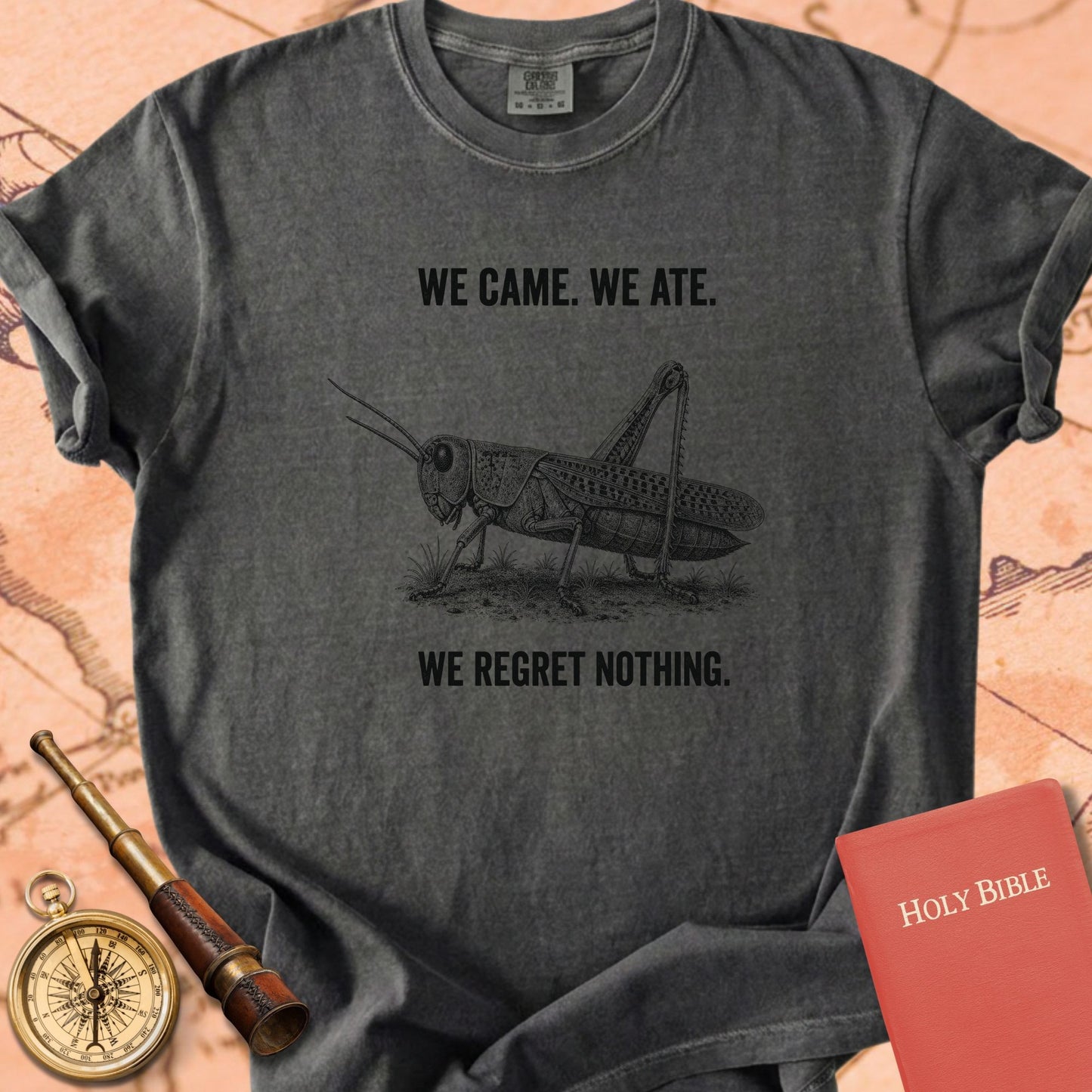 We Came We Ate We Regret Nothing Premium T-shirt