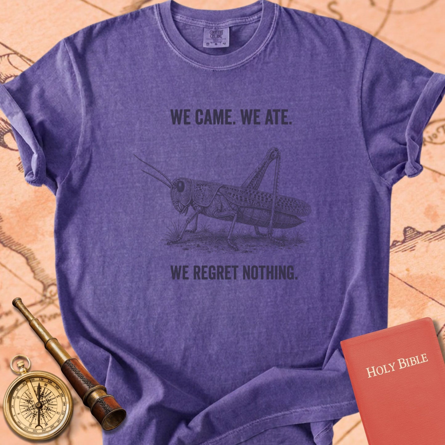 We Came We Ate We Regret Nothing Premium T-shirt